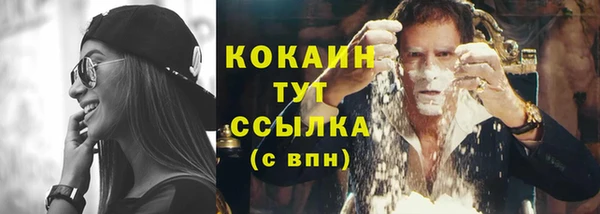 трава Новозыбков
