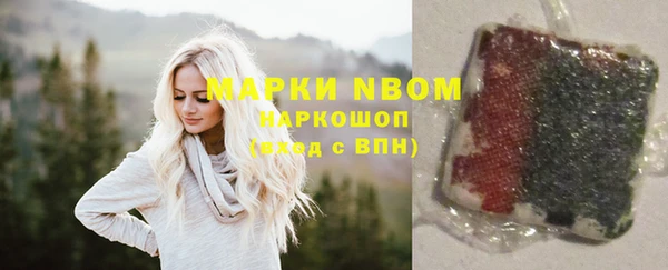 трава Новозыбков