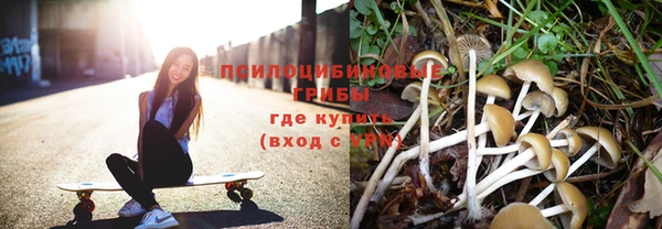 jwh Новодвинск