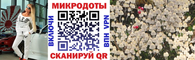 Псилоцибиновые грибы Psilocybe shop какой сайт Сорочинск