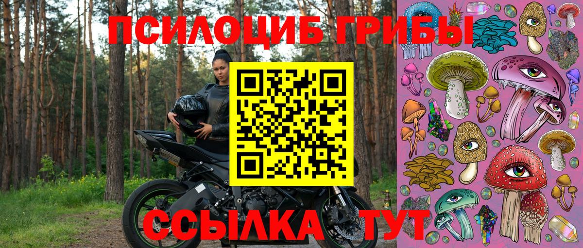 Сорочинск  Псилоцибиновые грибы Psilocybine cubensis  закладки  Вход с VPN 